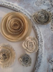 Eva Collection